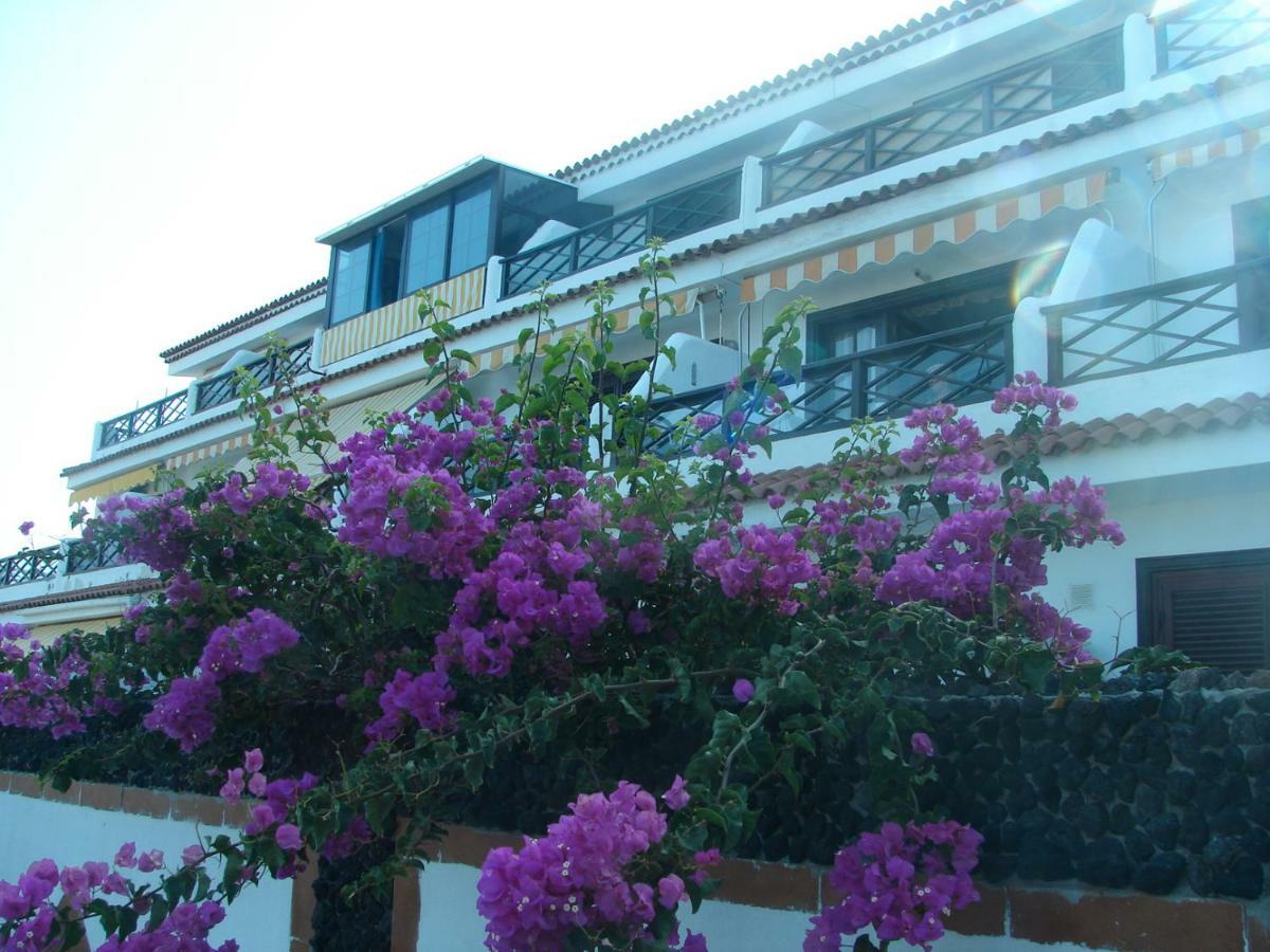 קוסטה דל סילנסיו Coastside Apartment, Amarilla Bay מראה חיצוני תמונה